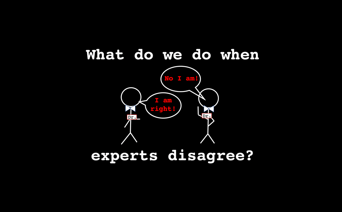 What do we do when experts disagree?