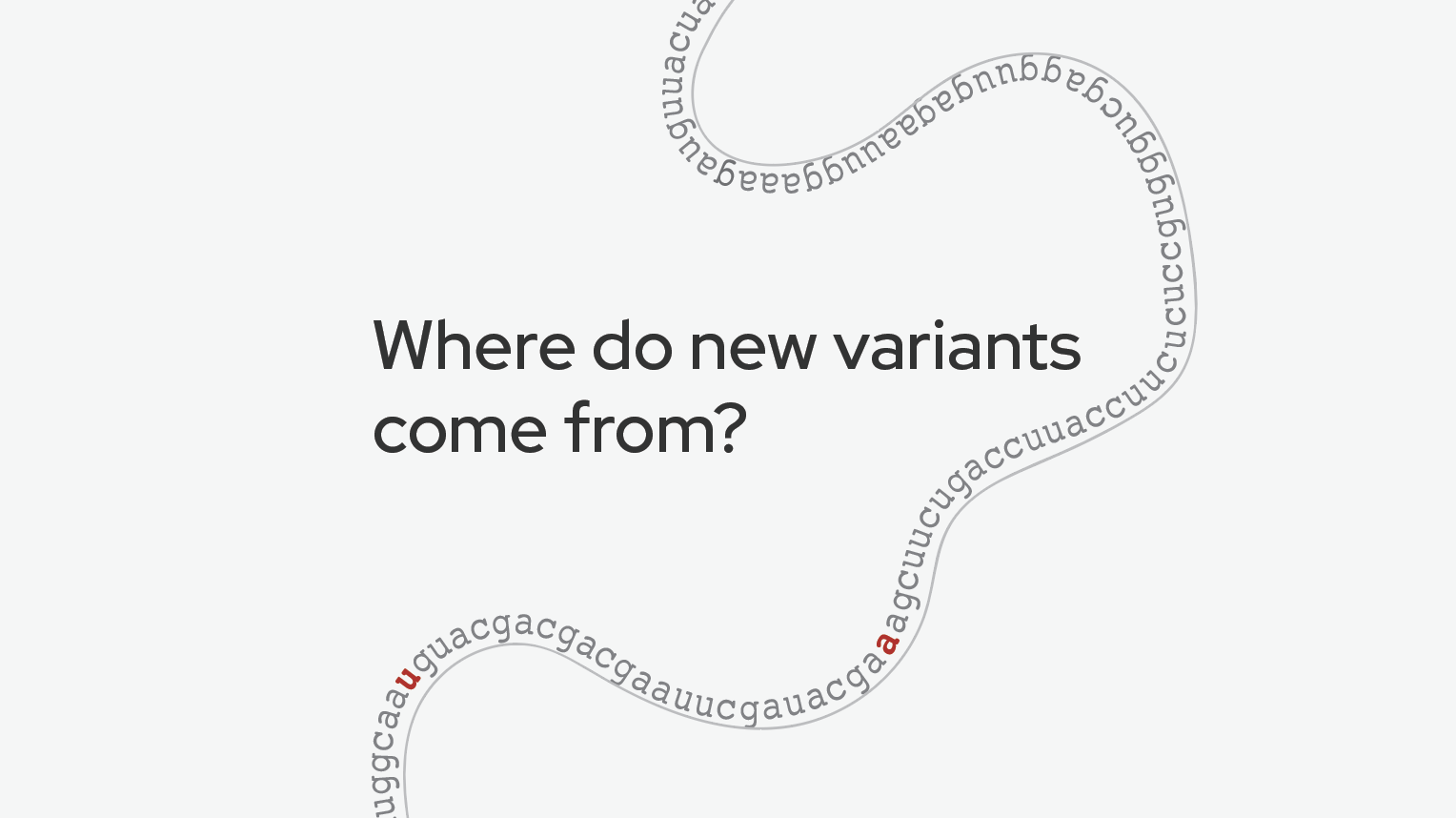 Where do new variants come from?