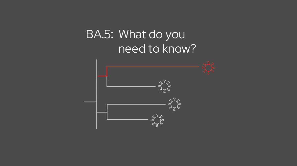 BA.5: What do you need to know?