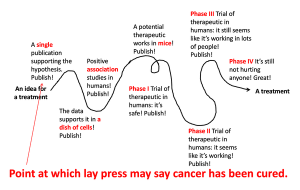 Why does it take so long to develop medical treatments?