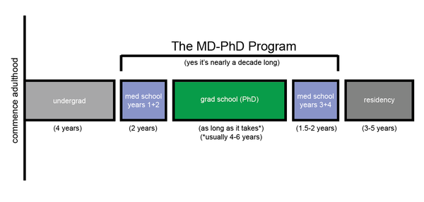 What is MD-PhD training (and why am I still a student?)